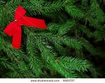 stock-photo-evergreen-bough-with-red-bow-5922727