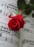 rose on music