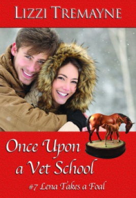 Traditional Christmas in Once Upon a Vet School